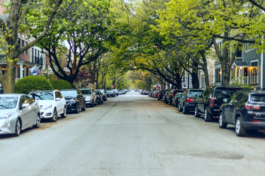 trees along side street with cars